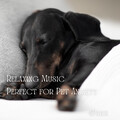 4Paws: Relaxing Music Perfect for Pet Anxiety Vol. 1