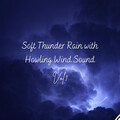 The Rain Factory、Massage Music Playlist、Rain and Thunder Sounds - Gentle Rain Atmosphere