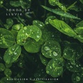 Tonos De Lluvia: Meditación y Purificación