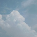 星星营业了嘛 - 冰镇过的夏天