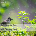 Meditation Rain Sounds、Deep Sleep、Music For Sleeping and Relaxation - Soft Thunder Rain with Chirping Birds Vol. 1 - 1 Hour