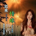 迟来的情缘