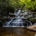 Music for Work、Asian Zen Spa Music Meditation、Natural Baby Sleep Aid Academy - Relaxing Waterfall Forest Bird Sounds Vol. 1 - 1 Hour