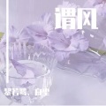 沅芷兮 - 谓风