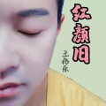 王兆乐 - 红颜旧