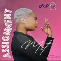 Met - ASSIGNMENT