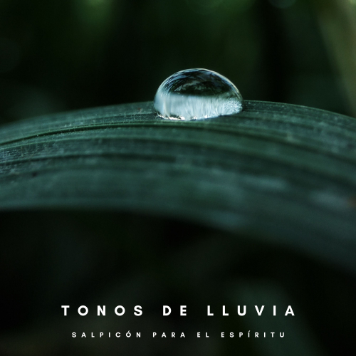 Lluvia Para Dormir Mejor、Sonidos De Tormentas、Musica Relajante Para Dormir - Lugar Confortable Con Lluvia
