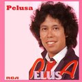 Pelusa、Gouvela、Amorin - Que Quieres Tu de Mi
