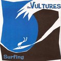 The Vultures - Surfing