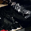 BRXYLXN、JERAHMEEL、Braylin Goodman、jetsonmade - Money, Drugs and Fallin in Love (Explicit)