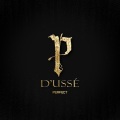 Perfect、Chosen On The Beat、DruJefe、Raymor、Kako#66、Torrion Official - D'usse'