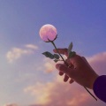 Tidiet、slowed + reverb songs - COLD (slowed + reverb)