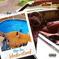 Hope You Understand (Explicit)