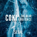 The Blur Ambience、Coki - Sesal