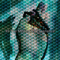 49 冥想体验 (2022 折叠大胆的工作室)