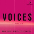 Voices (Extrended Mix)