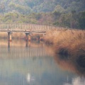 Bridge Over Troubled Water