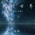 张彬 - 平行世界
