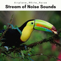 Airplane White Noise - Joy of Colorful Noise Ambience for Unique Sleep