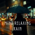 Latin Chill Out、Calm Rain Music、Nature Of Sweden - Angelin Song