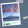 花海沉 - 窗