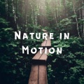 Quiet Sunday Morning Music、Rain Sounds Nature Collection、Relaxing Spa Music - Ice Cold Forest