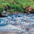Happy Afternoon Music、Nature Rainforest Sounds Collective、Binaural Guidance - Blowing Trance