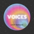 Davit Barqaia - Voices