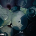 FOREVER, PT. 2 (JEZEBEL) [feat. Destroy Lonely] [Explicit]