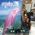 SMOKEDOPE2016 - PINK DOLPHIN (Explicit)