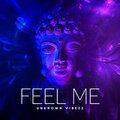 Unknown Vibezz - Feel me