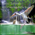 Binaural Boy、Business Background Music Consort、Relaxing Bossa Nova Chillax - Binaural: Gentle Waterfall with Chirping Birds Nearby Vol. 1 - 2 Hours