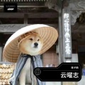 陈诚Jackson - 真英雄