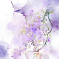 诗音乐霸 - 听花
