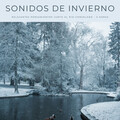 Musica Para Leer、Estudiar música para concentrarse、Concentrarse en la tarea - Sonidos De Invierno: Relajantes Pensamientos Junto Al Río Congelado - 3 Horas