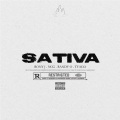 SATIVA (feat. Ronny J, Randy O, Tyago & NCG) (Explicit)