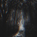 blazer - Dark Forest
