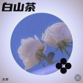 无邪 - 白山茶