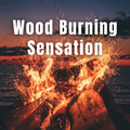 Deluxe Elevator Music、Fire Place Sounds、Relaxing Nature Recordings - Curing Fire