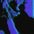 Oisin - Bacteria