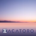 ZACATORO - Wicked Game