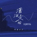 潇洒走一回 (DJ R7版)