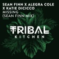 Missing (Sean Finn Radio Edit)