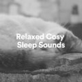 Womb Sound - Relaxed Cosy Sleep Sounds, Pt. 22
