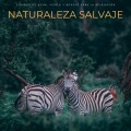 Pajaros del Bosque、Musica para Hoteles De Lujo、Ruído De Colores Para Bebes - Canto De Aves
