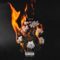 WOK (feat. IshDARR)(Explicit)