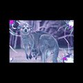 SASHI!、Moog - Famous in Australia (feat. Moog)(Explicit)