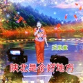 王思童 - 陕北是个好地方