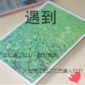 沈佳宜 - 唱着情歌流着泪
