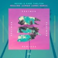 MIDVIBES、Gabe Tarlton、Aiman James - Healing (Aiman James Remix)
